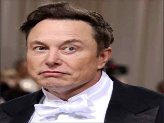 Twitter suspends account tracking Elon Musk's private jet