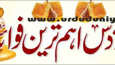 10 most important benefits of honey