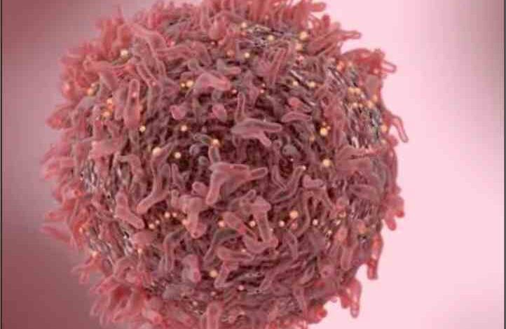 breast cancer enhancing protein discovered