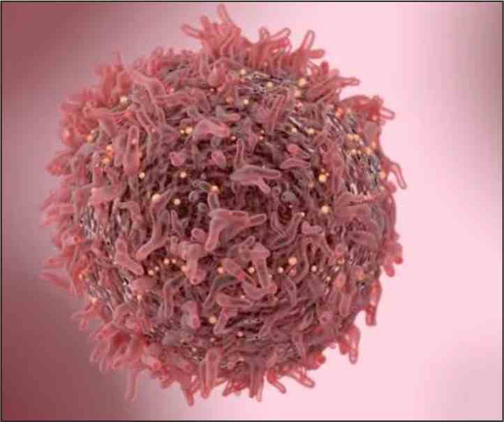 breast cancer enhancing protein discovered