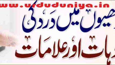 causes and symptoms of heel pain