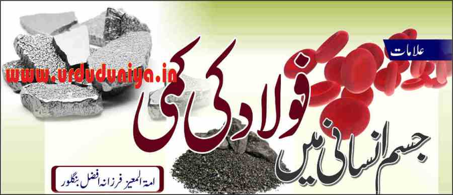 iron deficiency in the human body