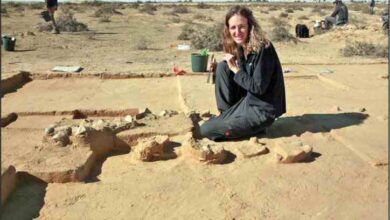 israeli archaeologists discover first ever cooked ostrich eggs