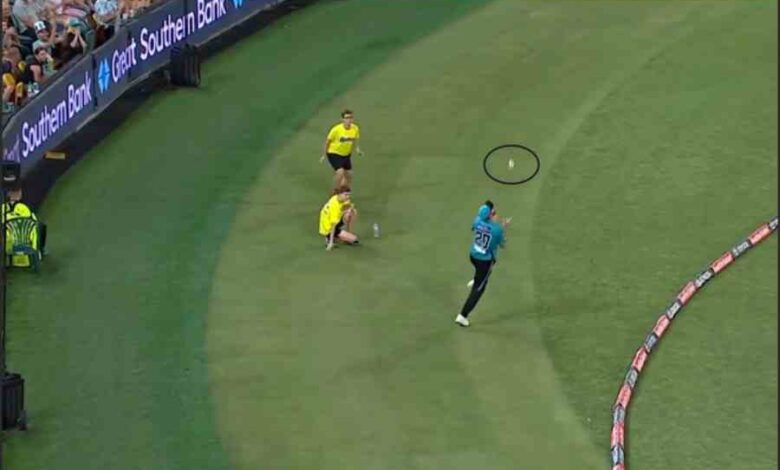 kfc big bash league not out