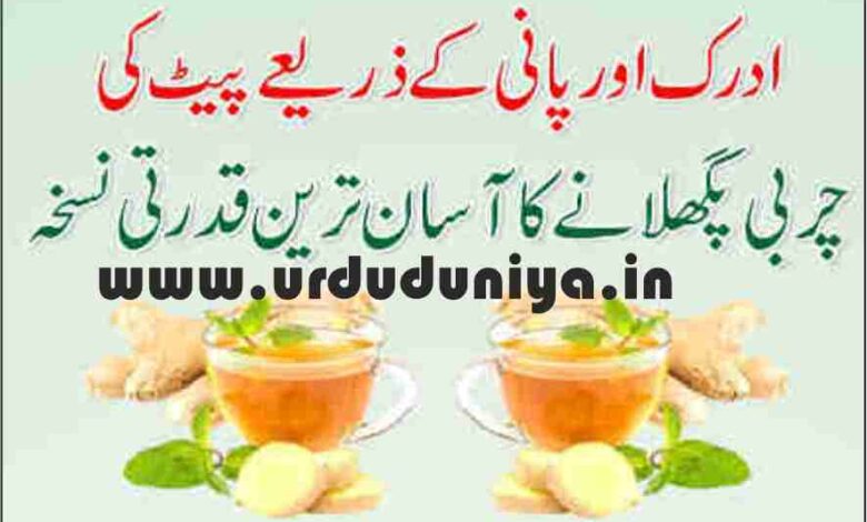 the easiest natural recipe to melt belly fat with ginger and water