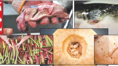 world's most dangerous foods