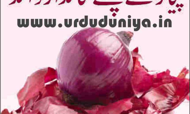 amazing benefits of onion peels