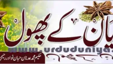 badian phool benefits1