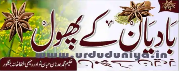 badian phool benefits1