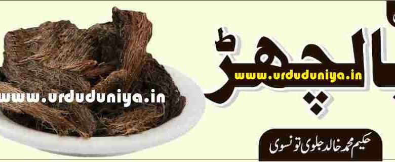 balchar benefits