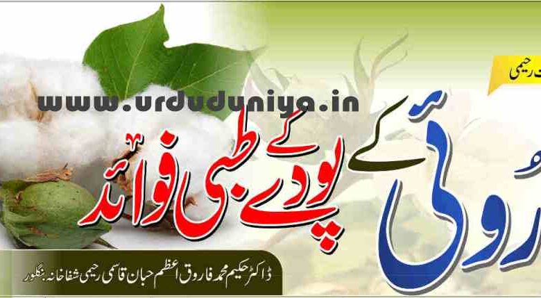 benefits of cotton plant