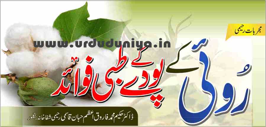 benefits of cotton plant