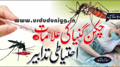 chikungunya symptoms