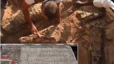 egypt gold covered mummy discoveries
