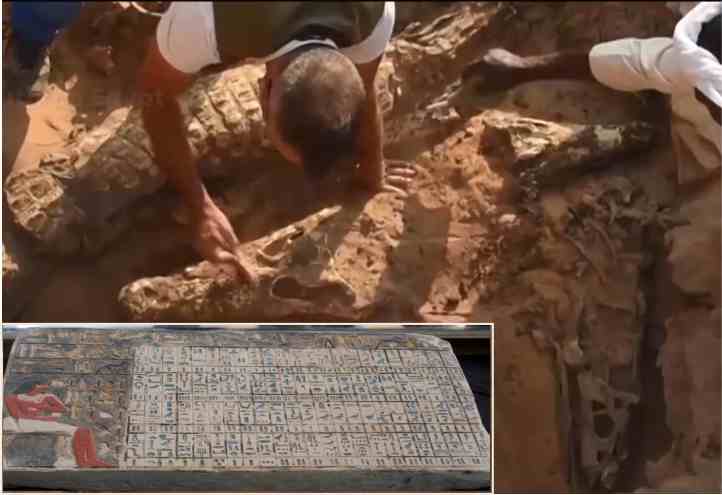 egypt gold covered mummy discoveries