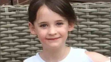 in uk the tree took the life of a six year old girl the court ordered a fine of 280000 pounds
