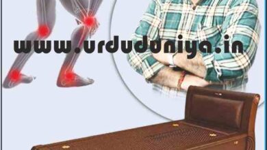 korean therapy massage bed