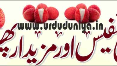 lychee fruit benefits