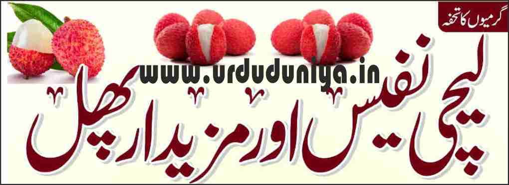 lychee fruit benefits