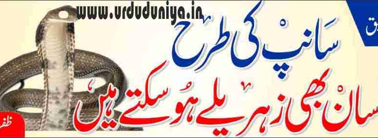 new research suggests humans can be venomous just like snakes