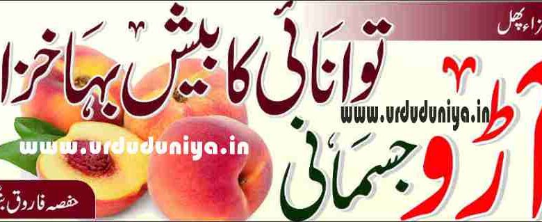 peach best fruit