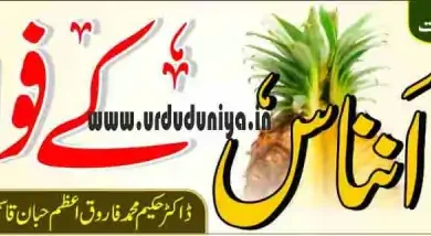 pineapple fruit benefits