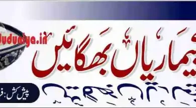 yogurt health benefits