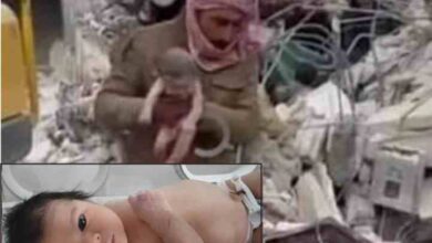 a newborn baby girl who was rescued from the wreckage was adopted by her rescuer