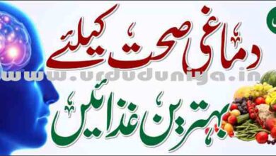 best foods for mental health