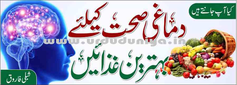 best foods for mental health