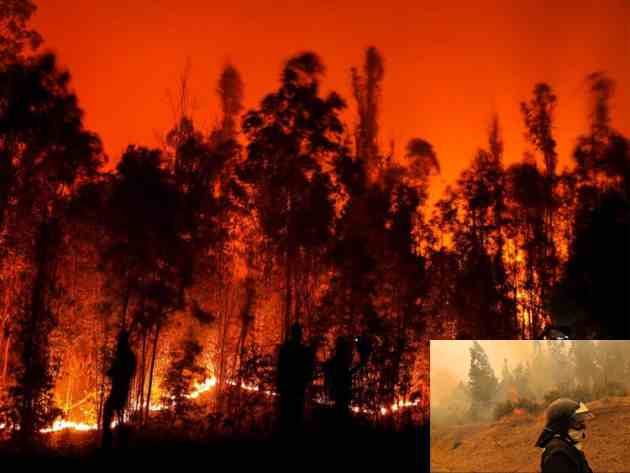 death toll in chile forest fires