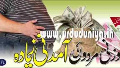 overweight men earn more