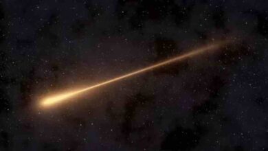 shahab e saqib in saudi arabia