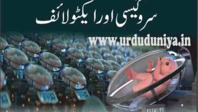 surrogacy and actolife