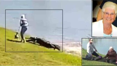 a crocodile attacked a woman walking her dog by a lake in florida dragged her into the ocean and ate her