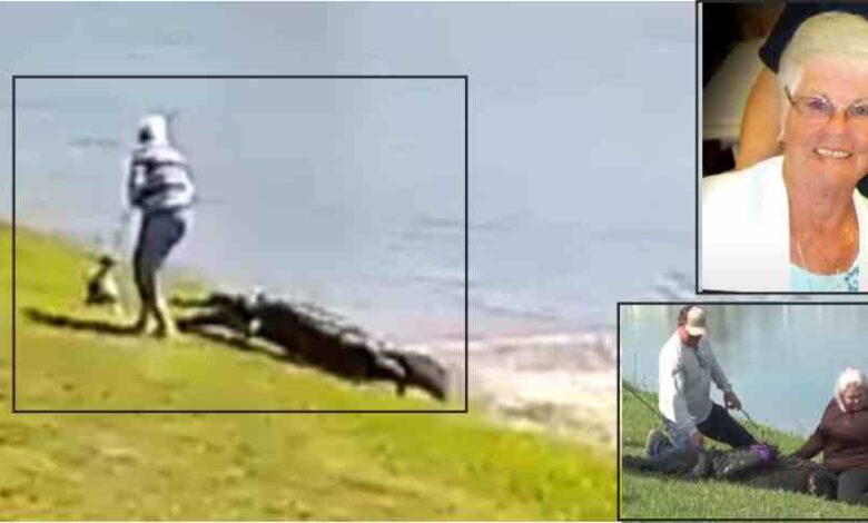 a crocodile attacked a woman walking her dog by a lake in florida dragged her into the ocean and ate her