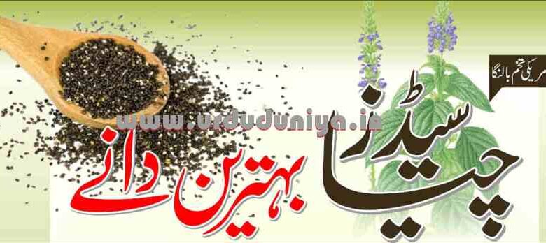 chia seeds