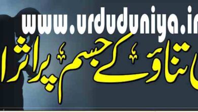 effects of stress on the body