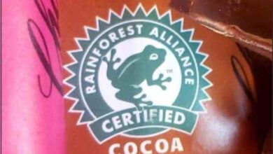 frog logo