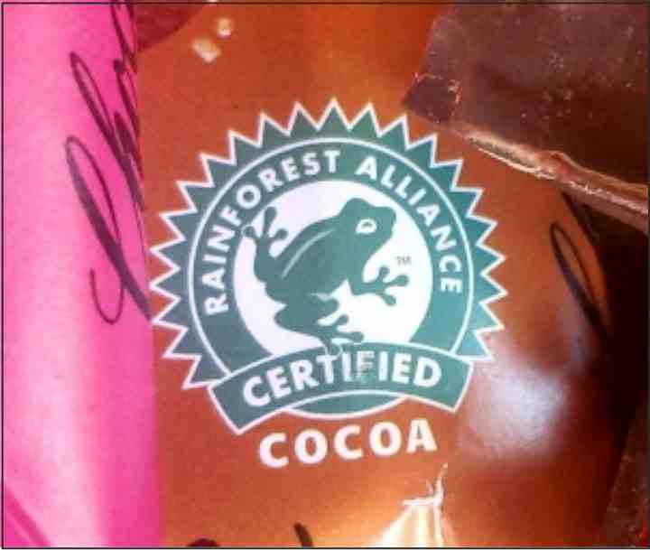 frog logo