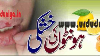 rose petals dry lips