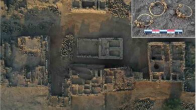 saudin news bronze bull head rings and other archaeological discoveries at najran