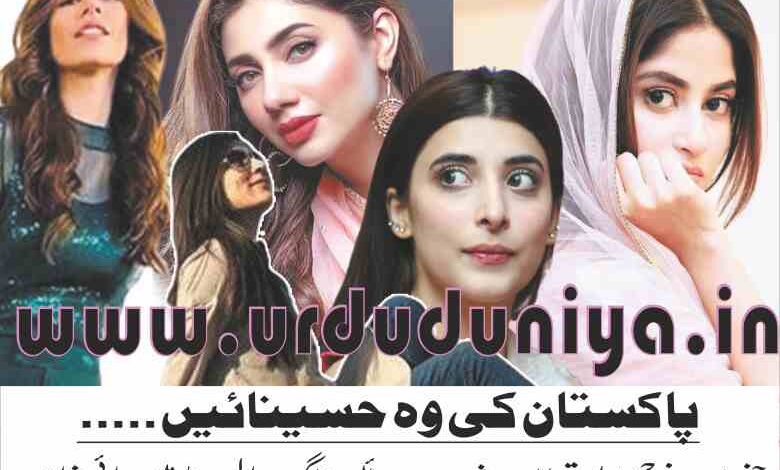 the beauties of pakistan who suffered the pain of divorce