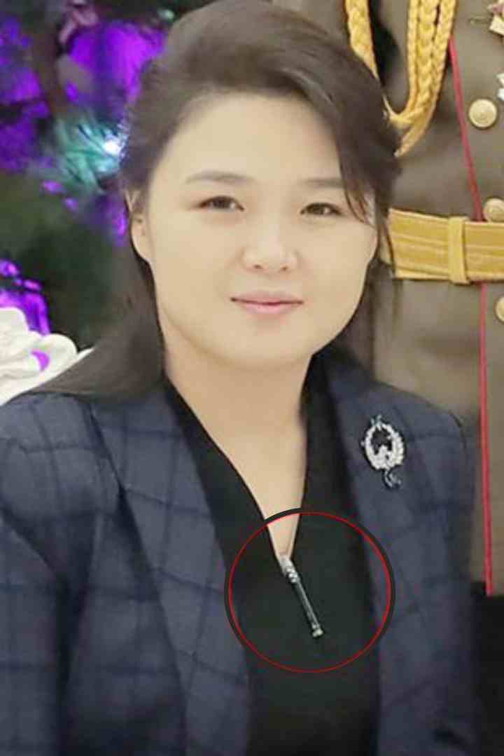 the wife of the north korean president wore a necklace with a ballistic missile around her neck