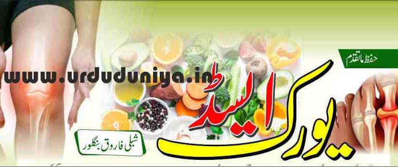 uric acid diet