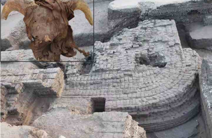 egypt 2000 heads of rams and goats were discovered in the ancient temple of the pharaonic period
