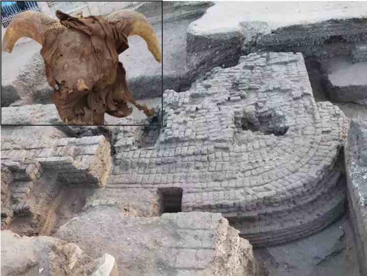 egypt 2000 heads of rams and goats were discovered in the ancient temple of the pharaonic period