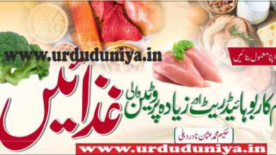 high protein foods and low carbohydrate