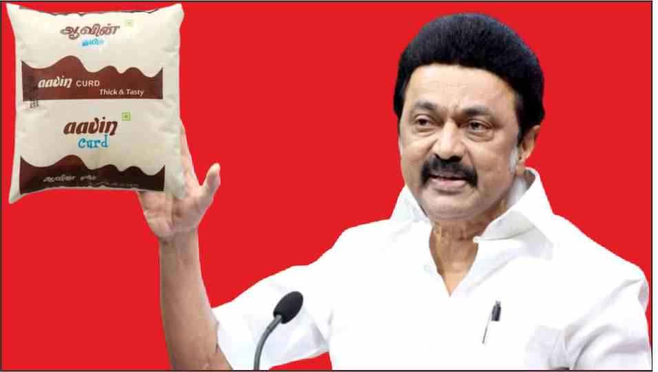 now in tamil nadu politics is going on curd cm stalin said hindi should not be imposed on us