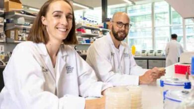 researchers at monash university in australia have discovered an enzyme capable of converting air into energy
